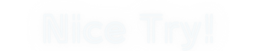 nice-try .net