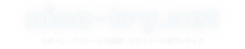 nice-try .net